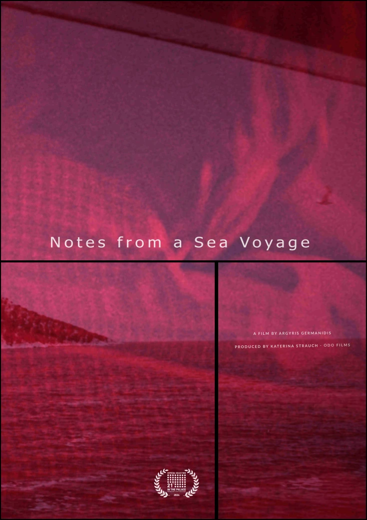 Notes from a Sea Voyage