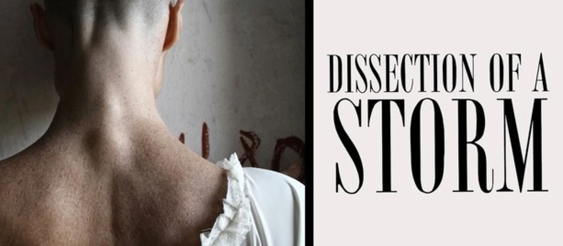 Dissection of a storm