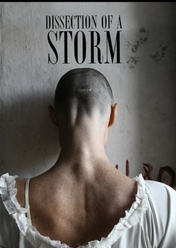 Dissection of a Storm