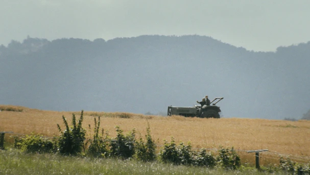 COLLECTABLE STORIES: BETWEEN THE FIELDS