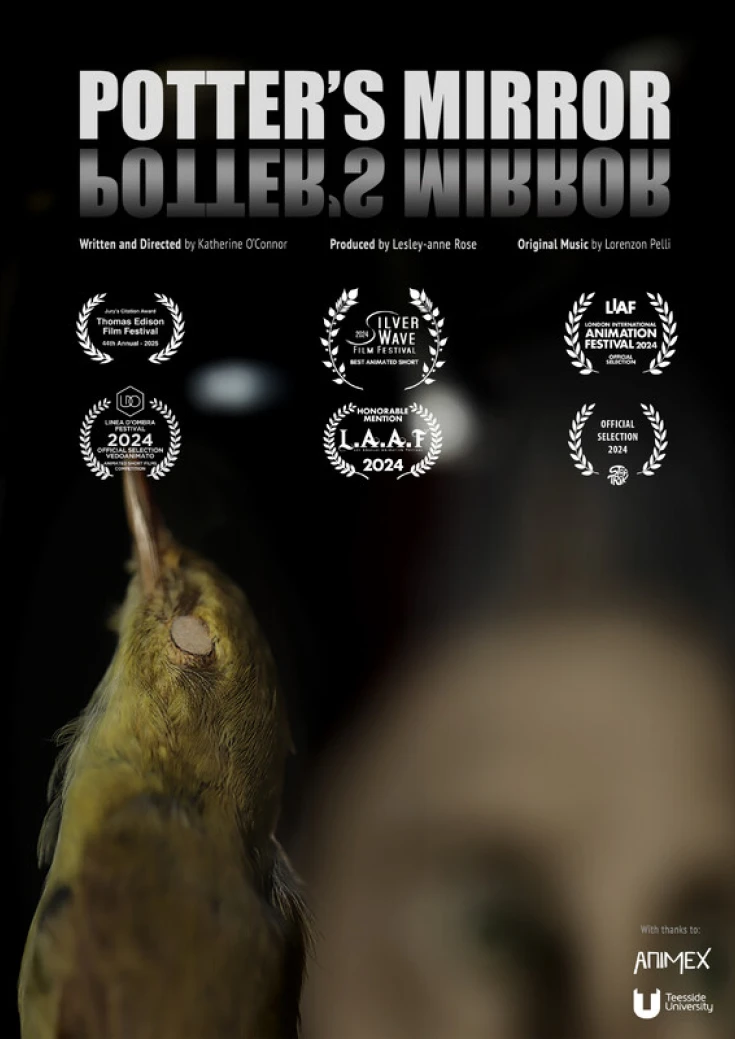 Potter's Mirror