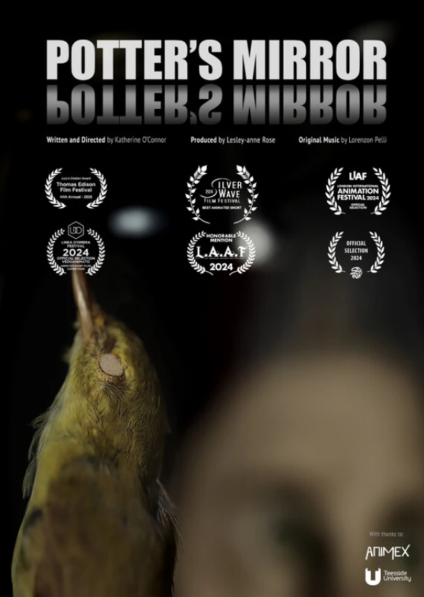 Potter's Mirror