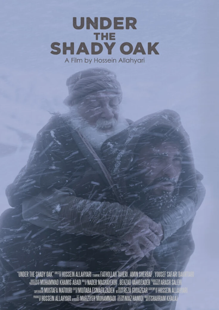 Under the Shady Oak