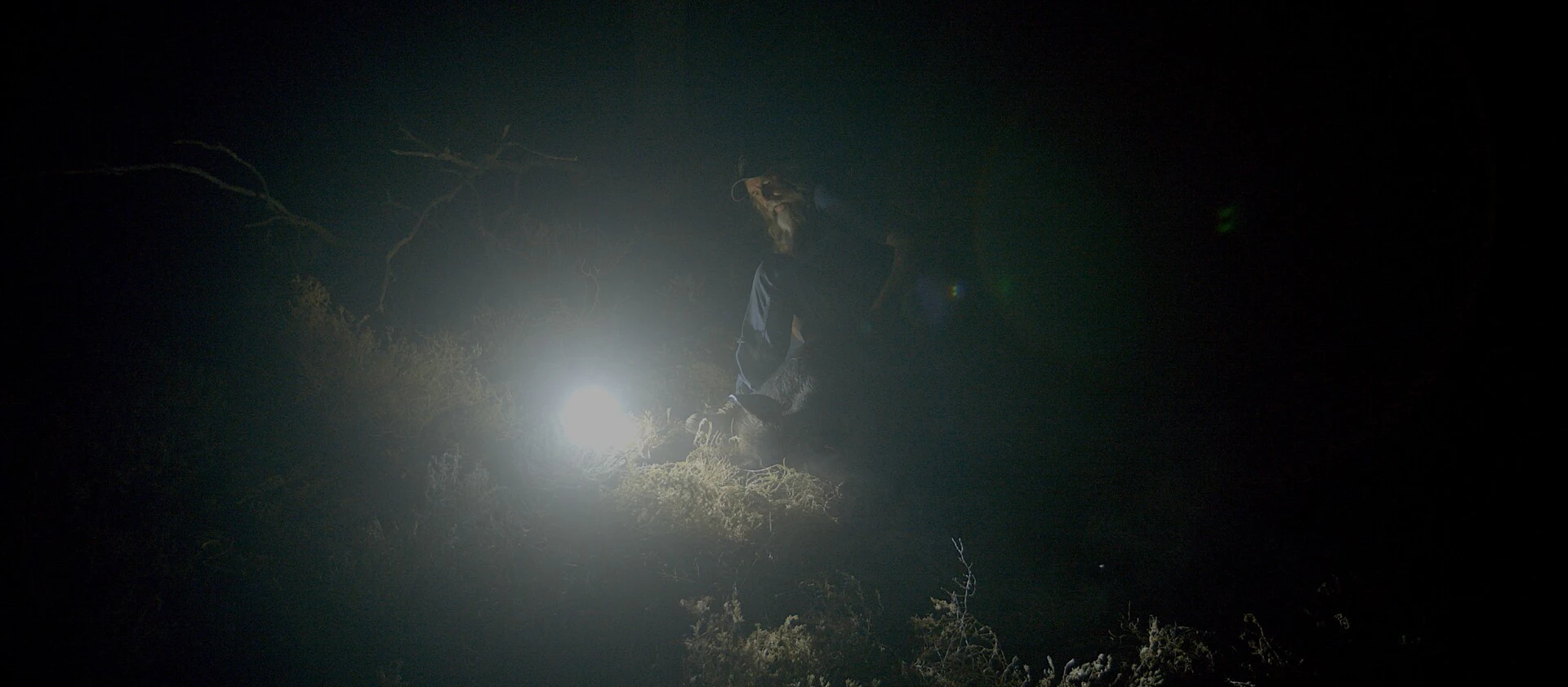 img-67d93167d4a0d.jpg