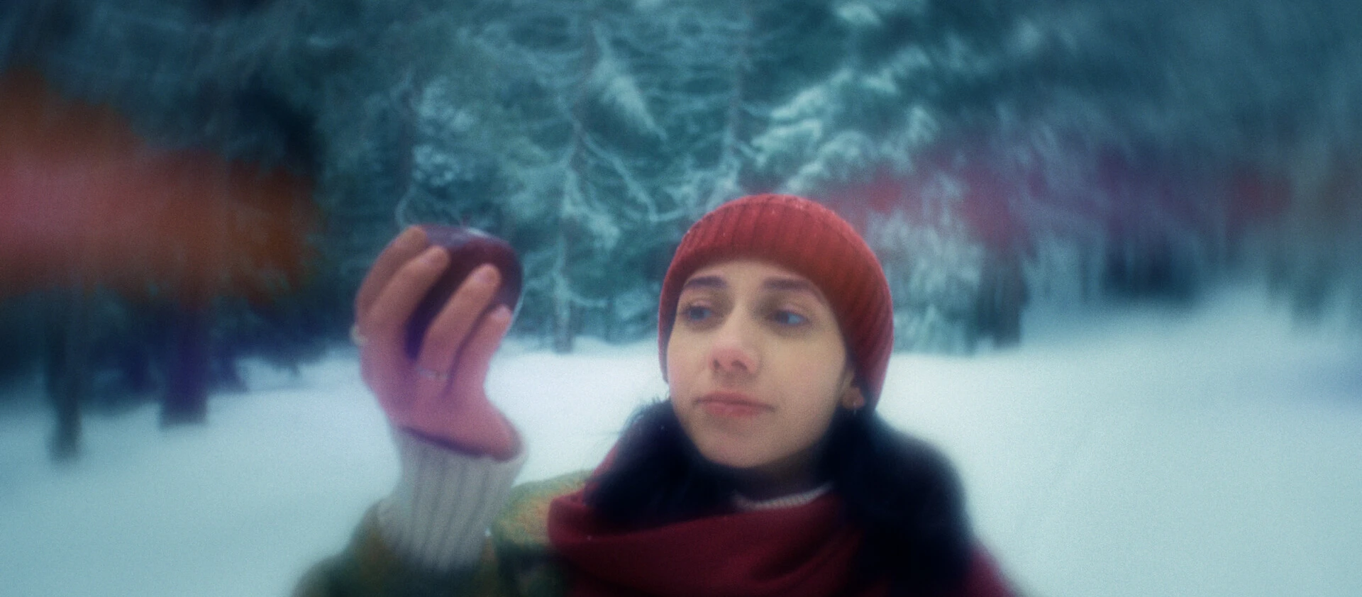 img-67d93181d7c60.jpg