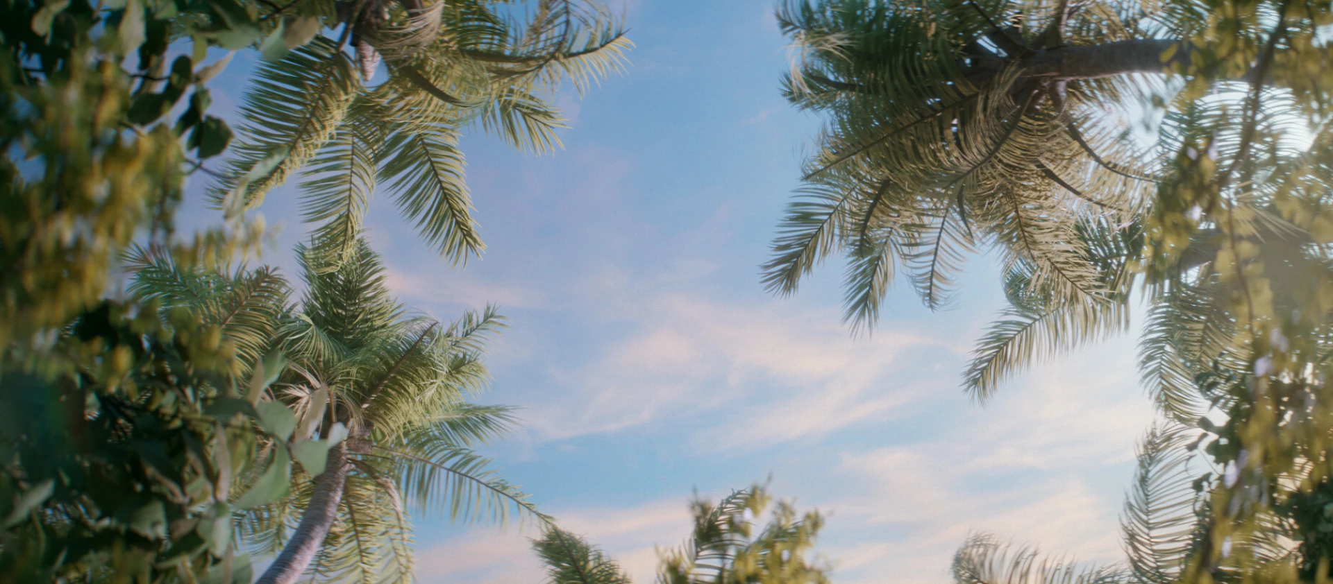 img-67d931ec95f0f.jpg