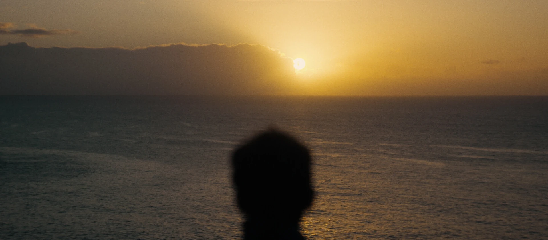 img-67d931ef9f569.jpg
