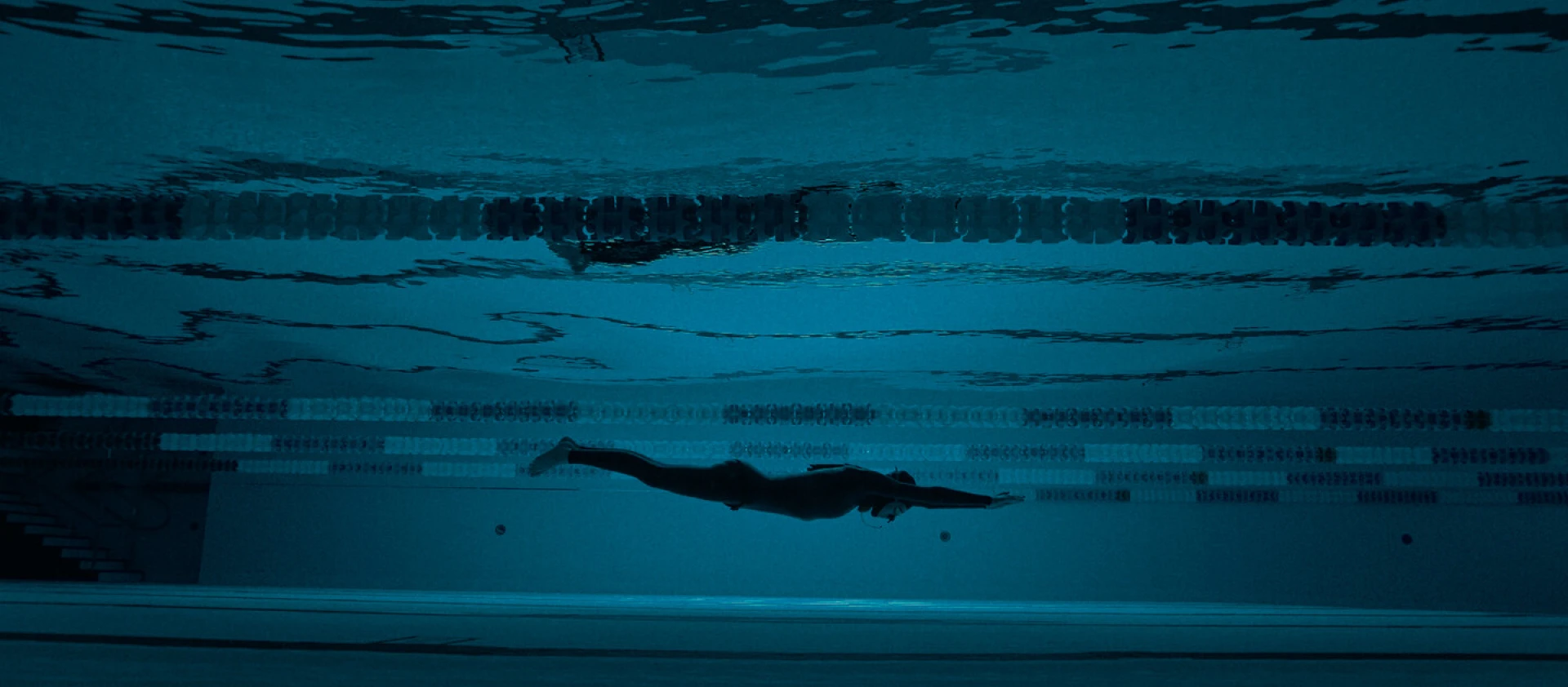img-67d931f0dfd45.jpg