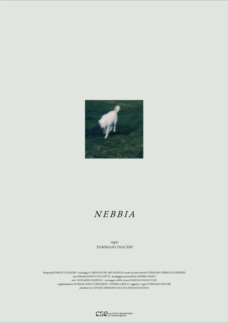 Nebbia