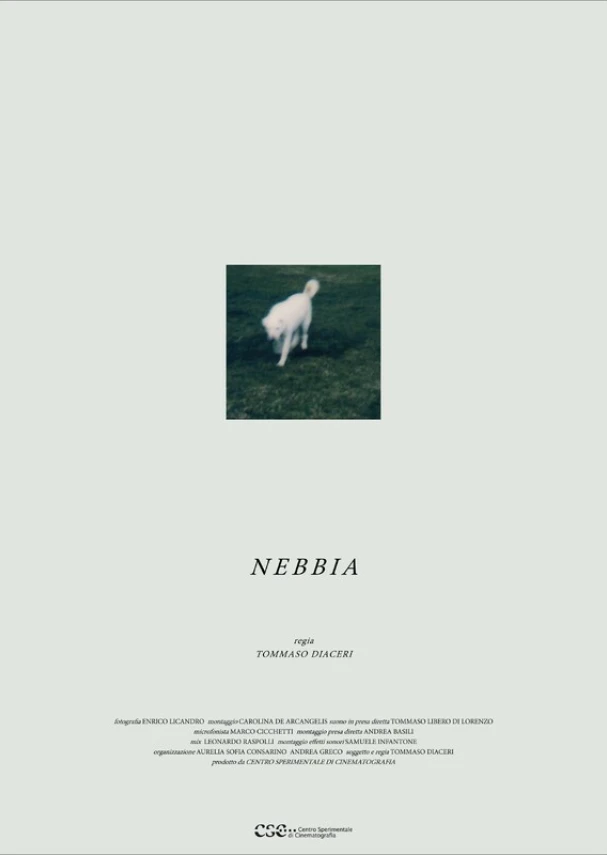 Nebbia
