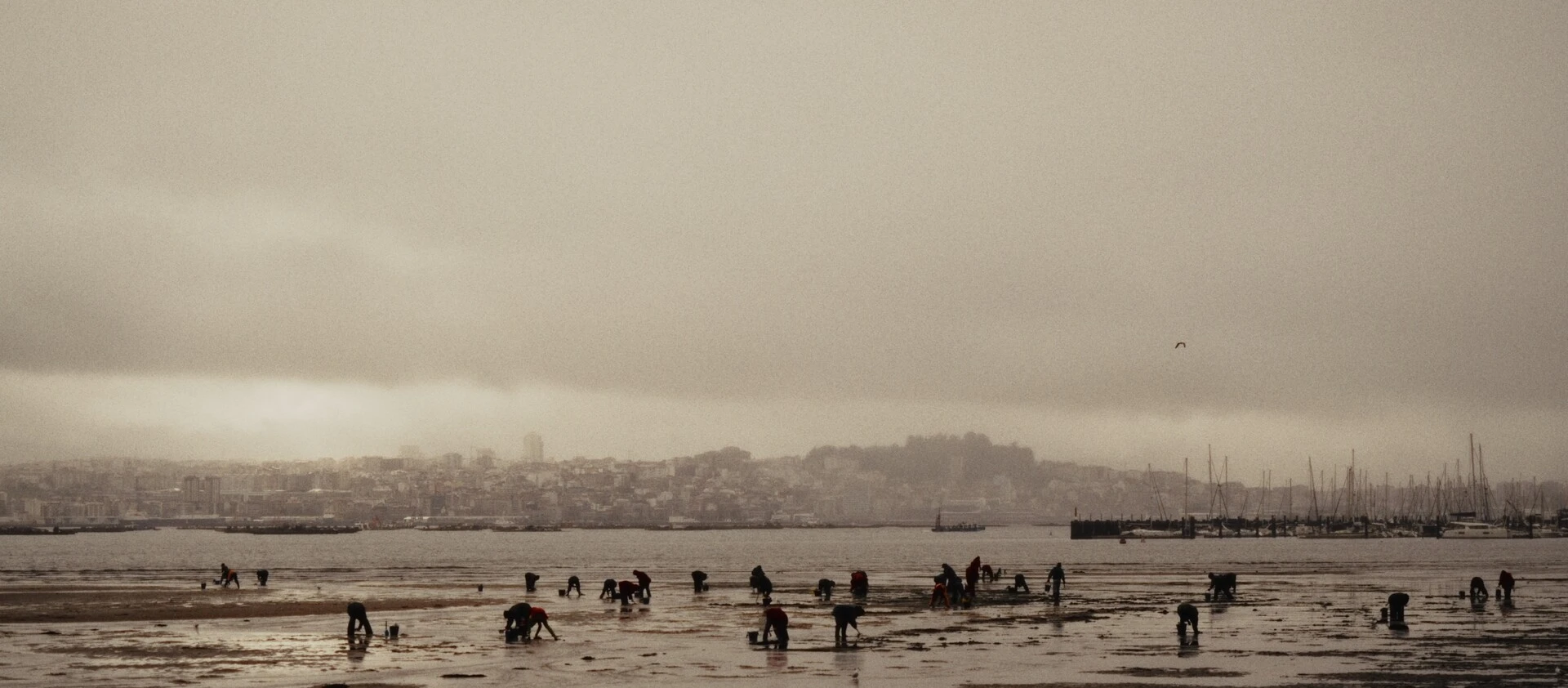 img-67d93209012ac.jpg