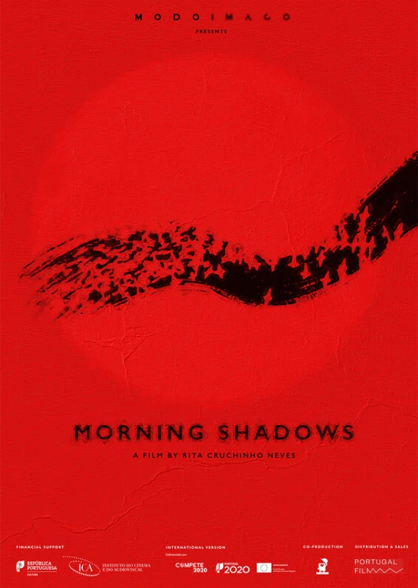 Morning Shadows