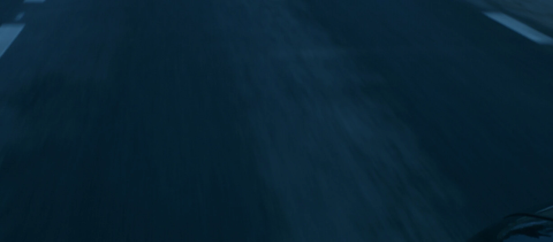 img-67d932bf70937.jpg