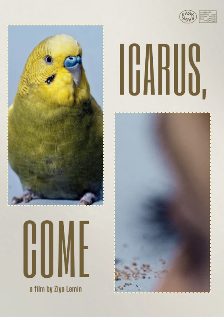 Icarus, Come