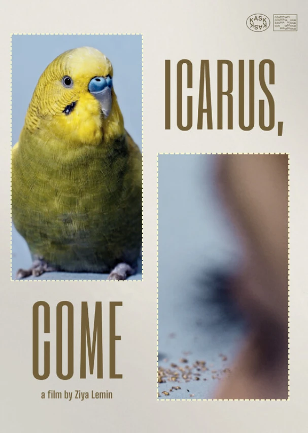 Icarus, Come
