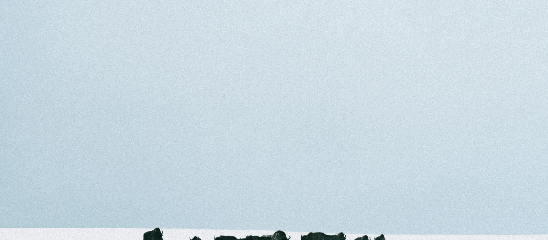 img-67d932f2cf7b6.jpg