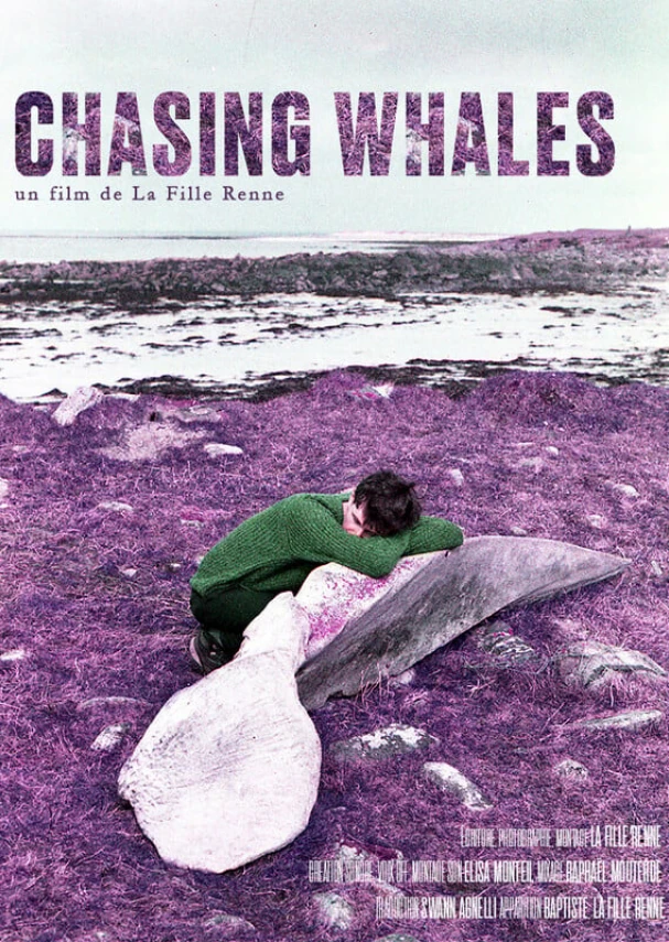Chasing Whales