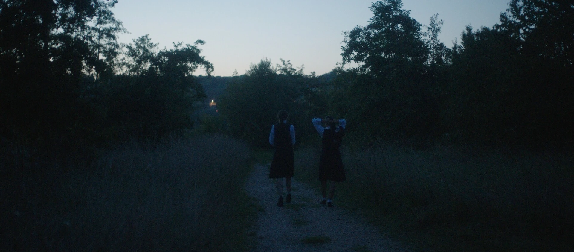 img-67e3e0f928346.jpg