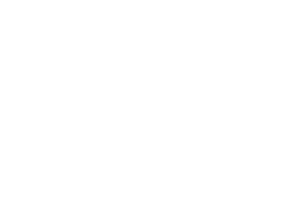 National Cultural Fund - end