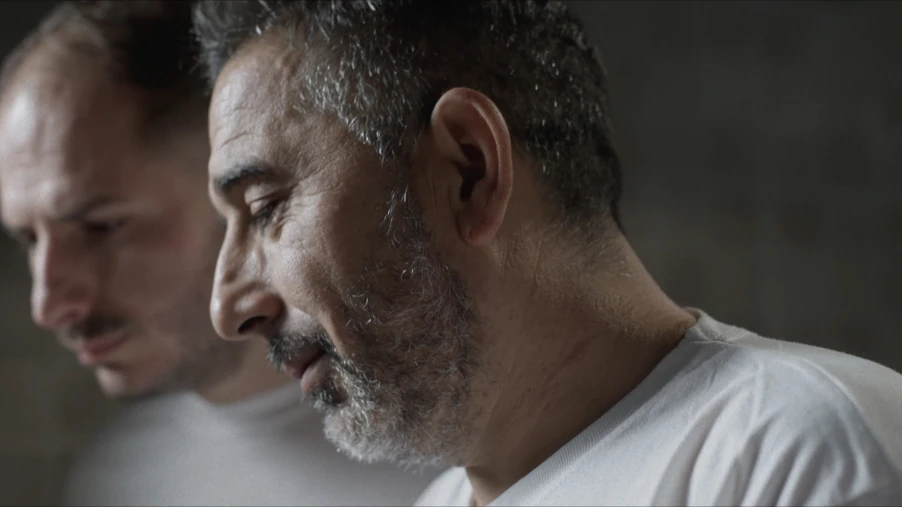 COLLECTABLE STORIES: THE GARDEN OF DELIGHT