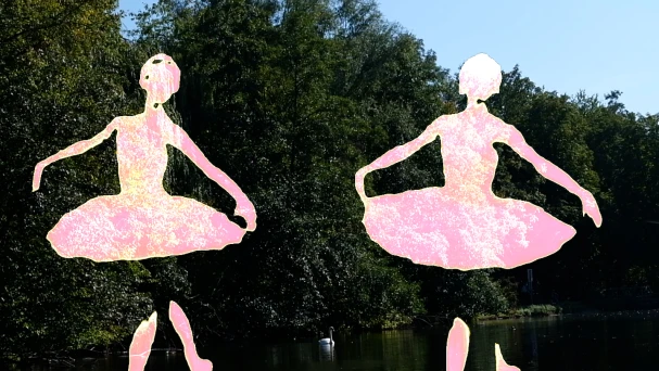 COLLECTABLE STORIES: SWANLAKE