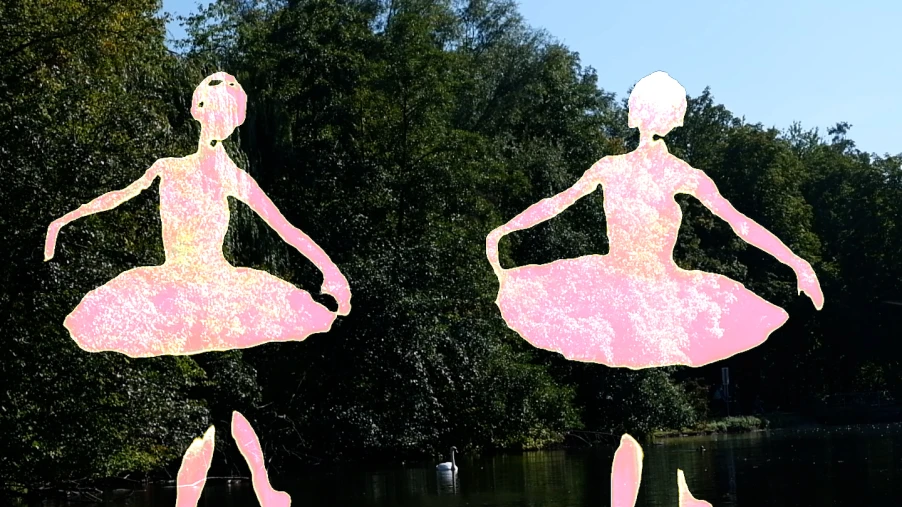 COLLECTABLE STORIES: SWANLAKE