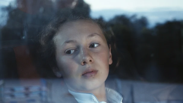 COLLECTABLE STORIES: SILENT STABLE