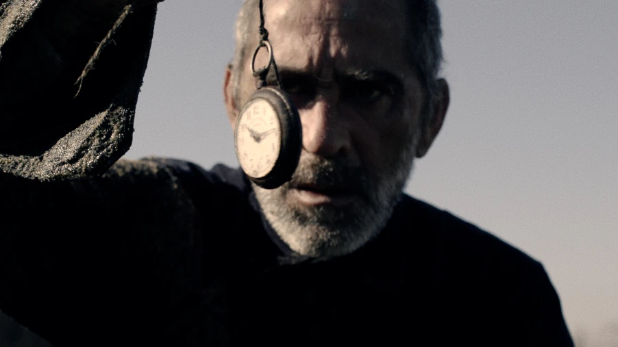 COLLECTABLE STORIES: THE BIRDS