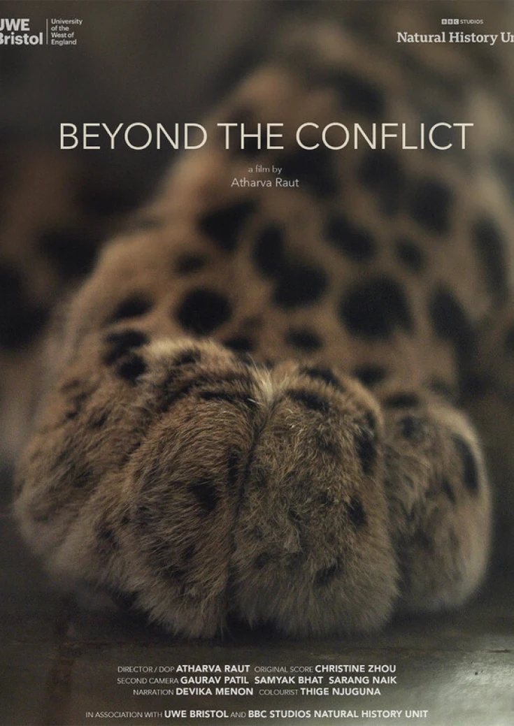 Beyond the Conflict