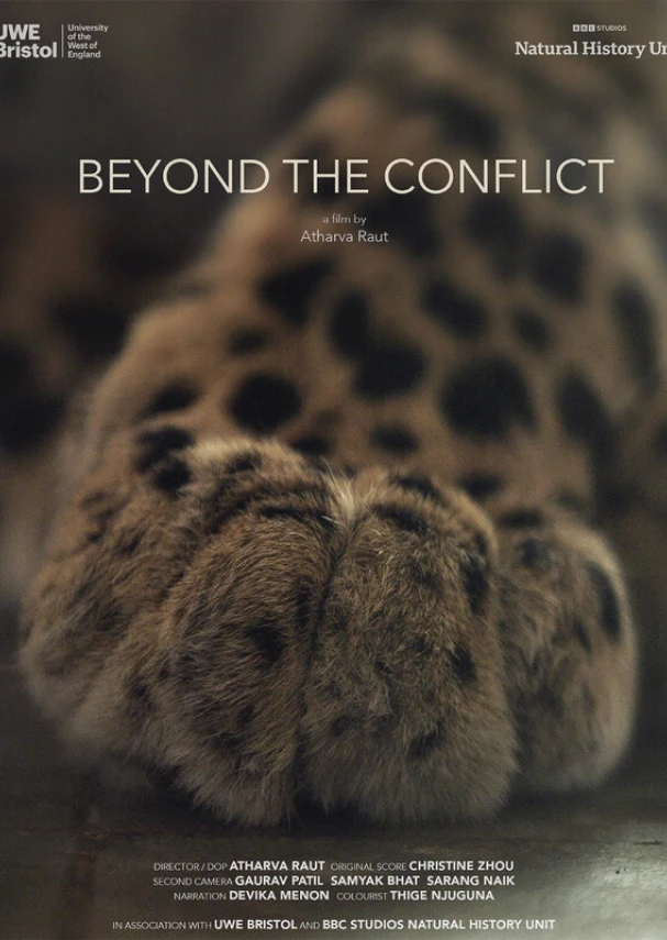 Beyond the Conflict