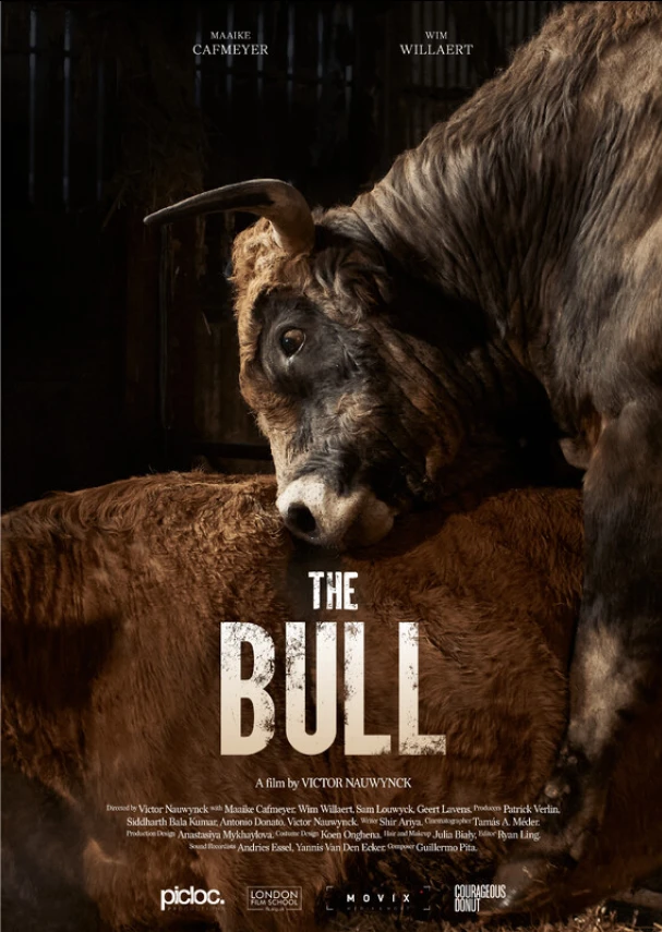 The Bull 