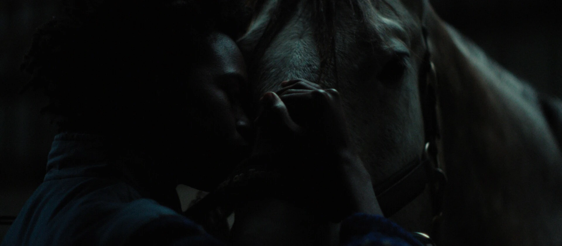 img-6a146ec506d53.jpg