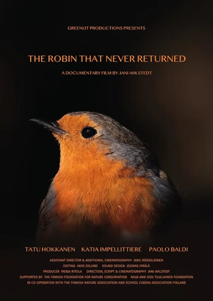 The Robin That Never Returned