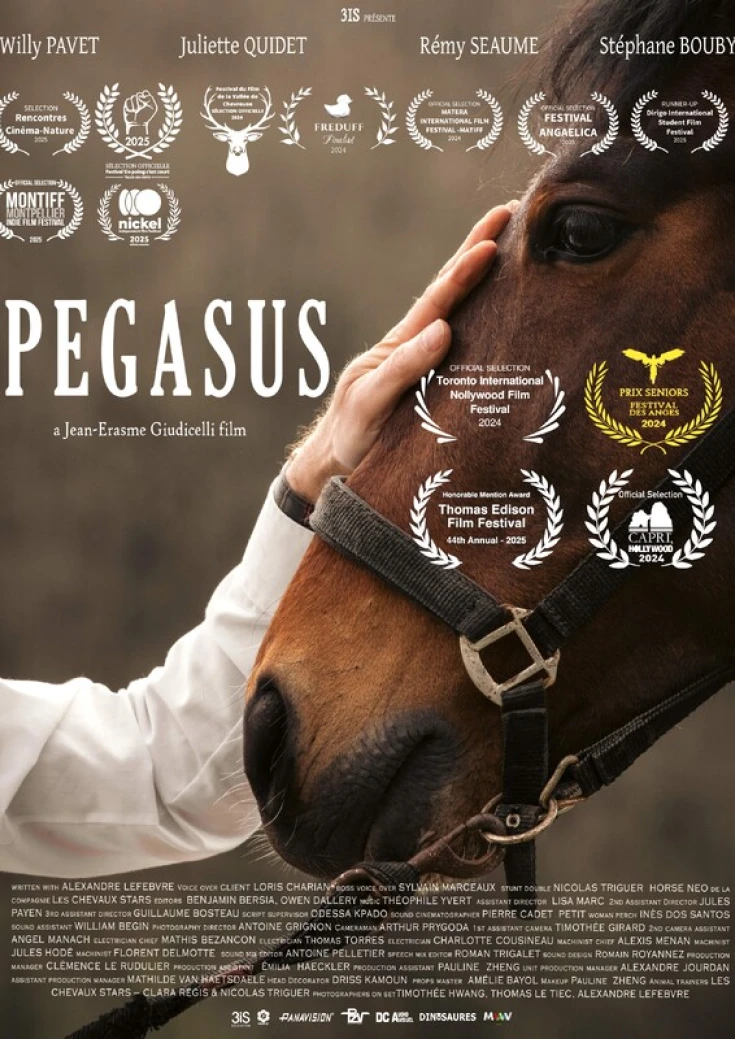 PEGASUS