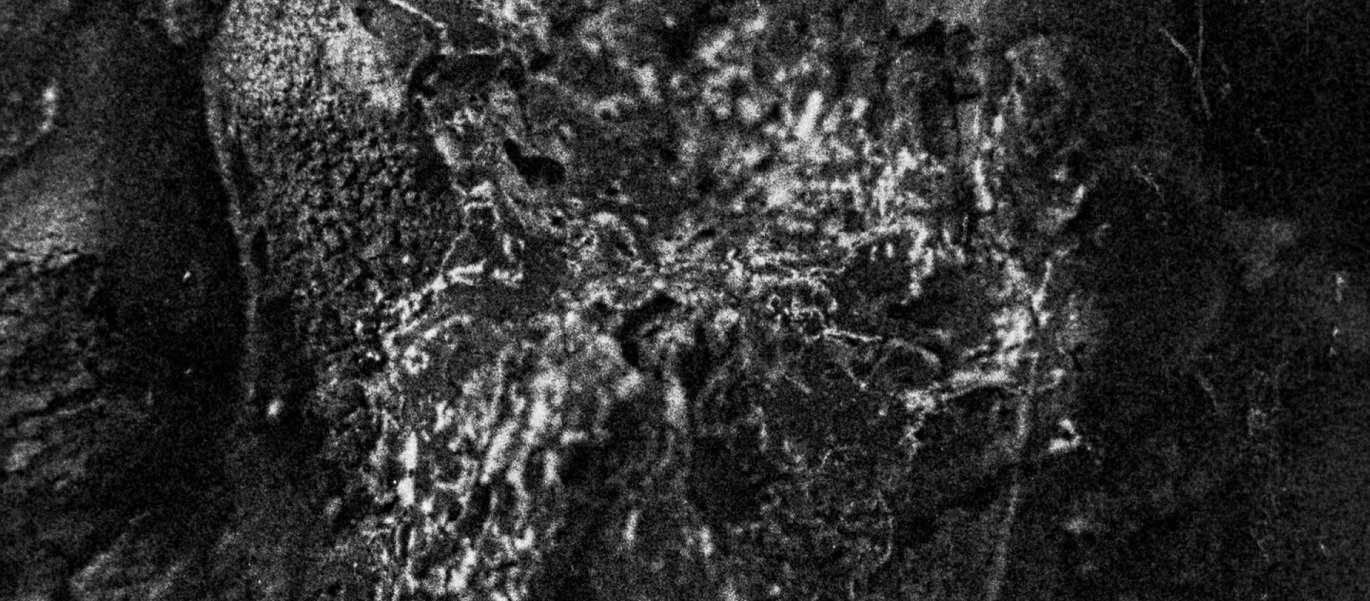 img-6a146ef34f8f5.jpg
