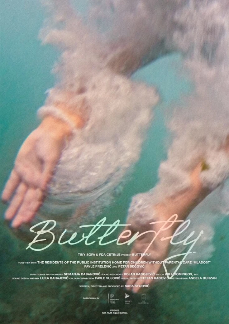 Butterfly