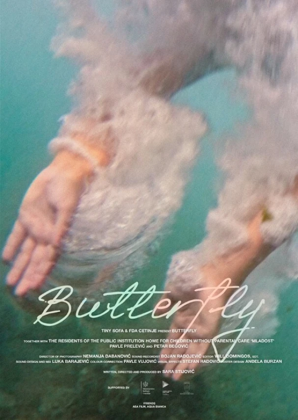 Butterfly