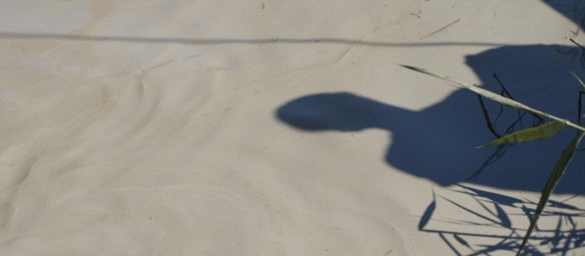 img-6a146f02ccbe4.jpg