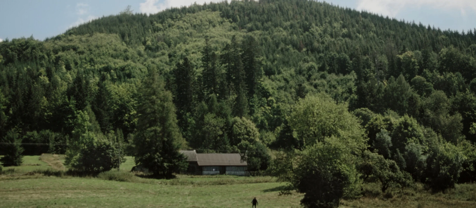 img-6a146f0d137c1.jpg