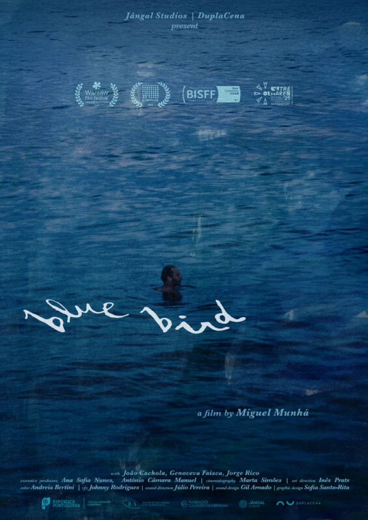 "Blue Bird" (PT: "Pássaro Azul")