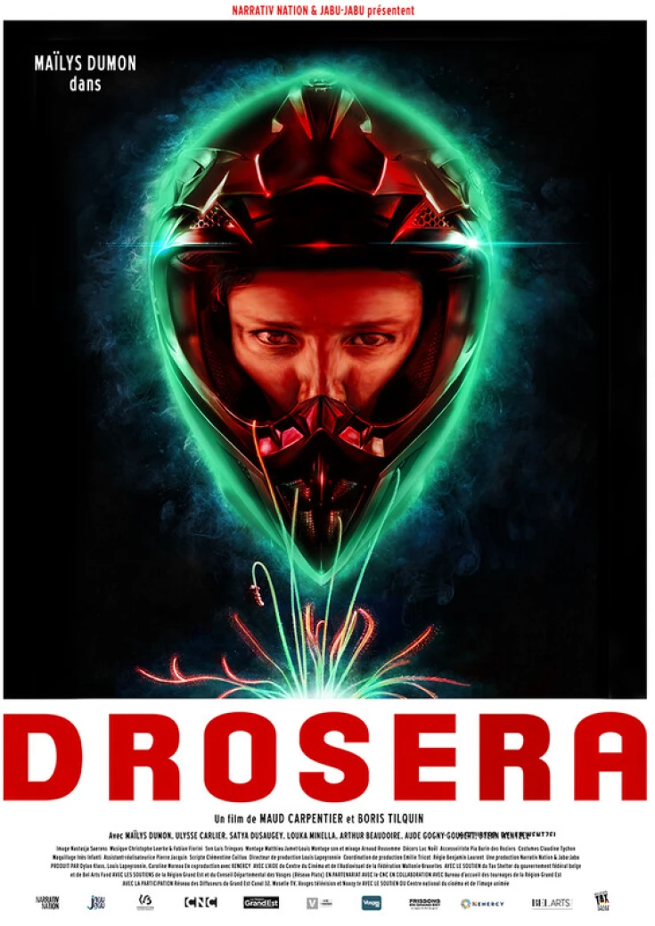 Drosera