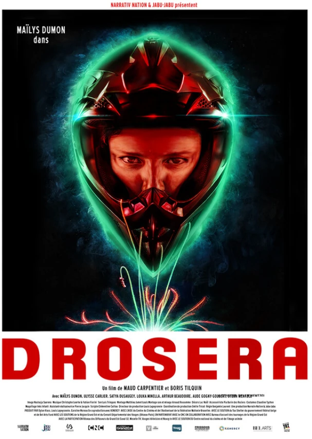 Drosera