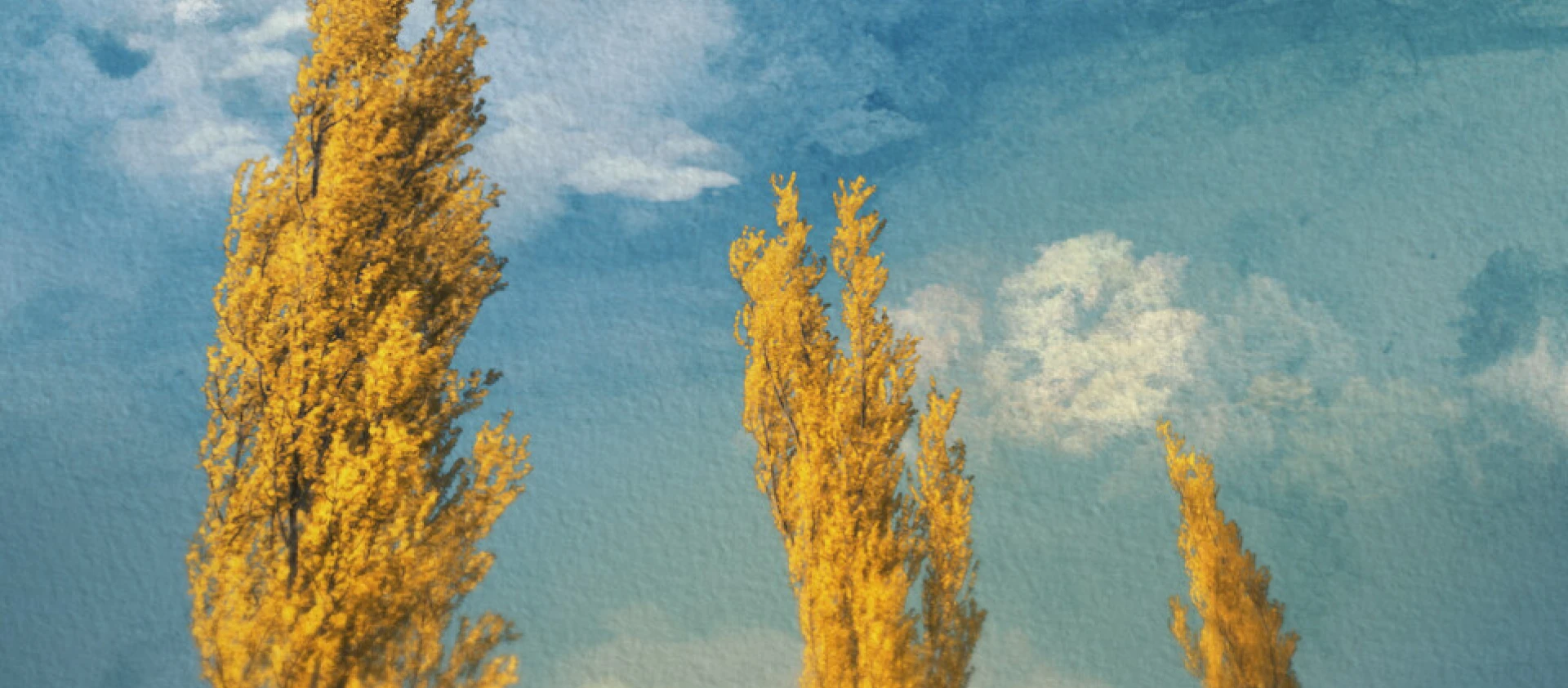img-6a146fd04f9fd.jpg