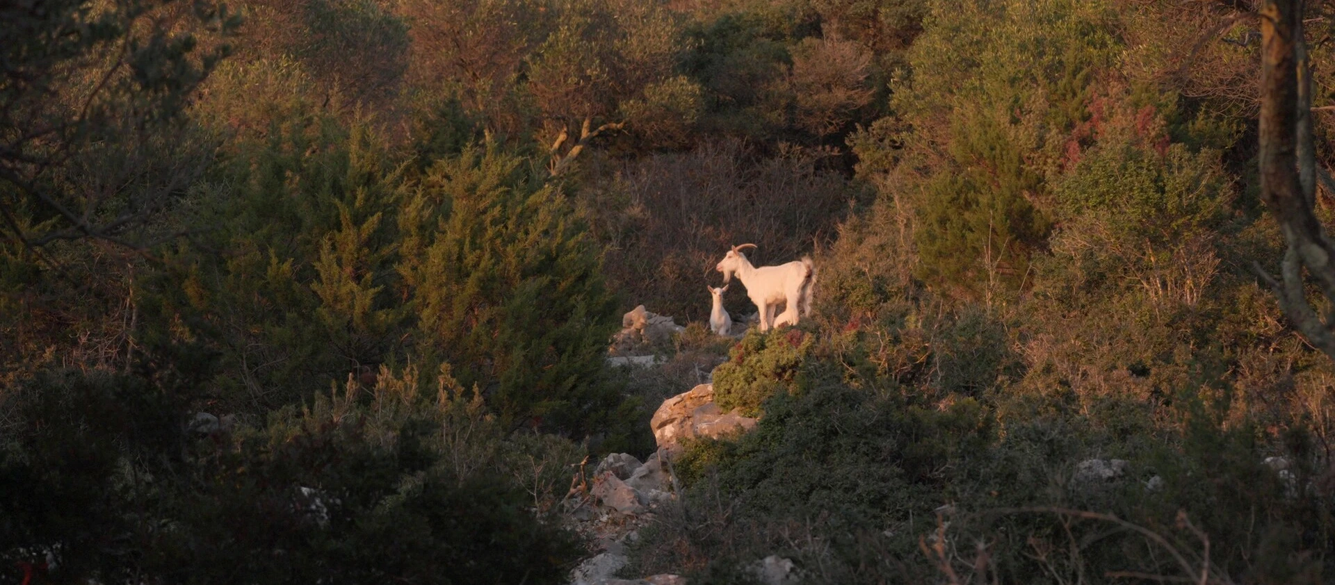 img-6a146fdc9a8de.jpg