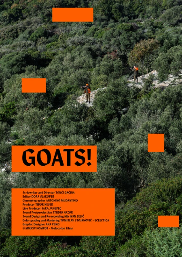 Goats!