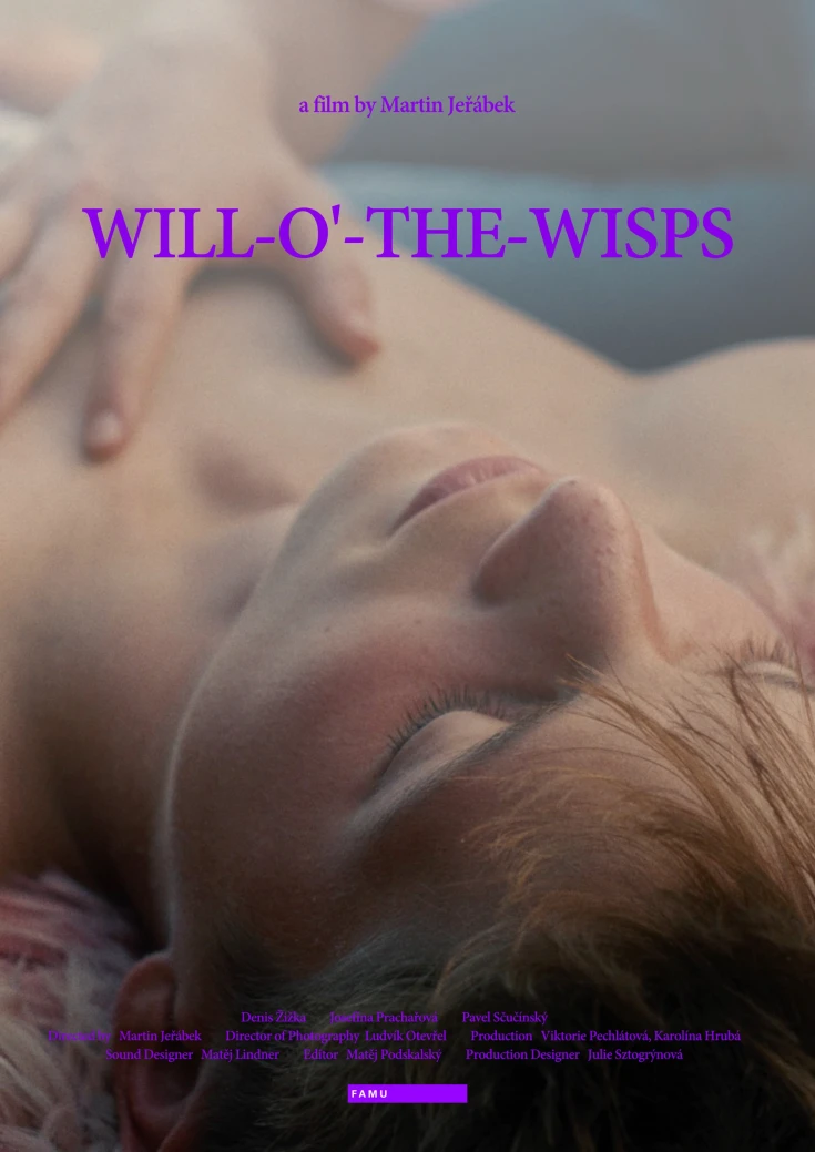 Will-o’-the-Wisps
