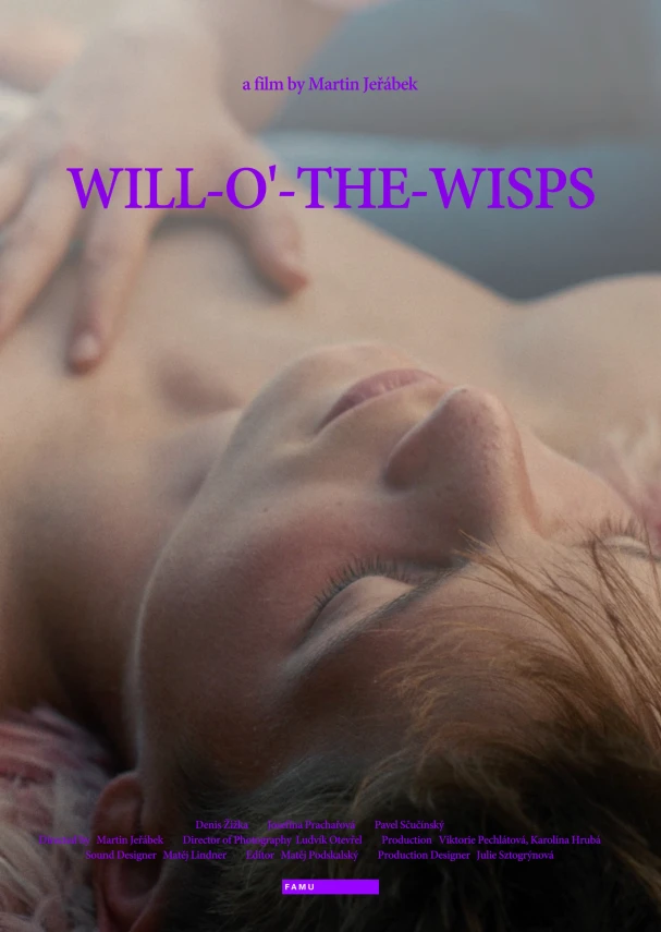 Will-o’-the-Wisps