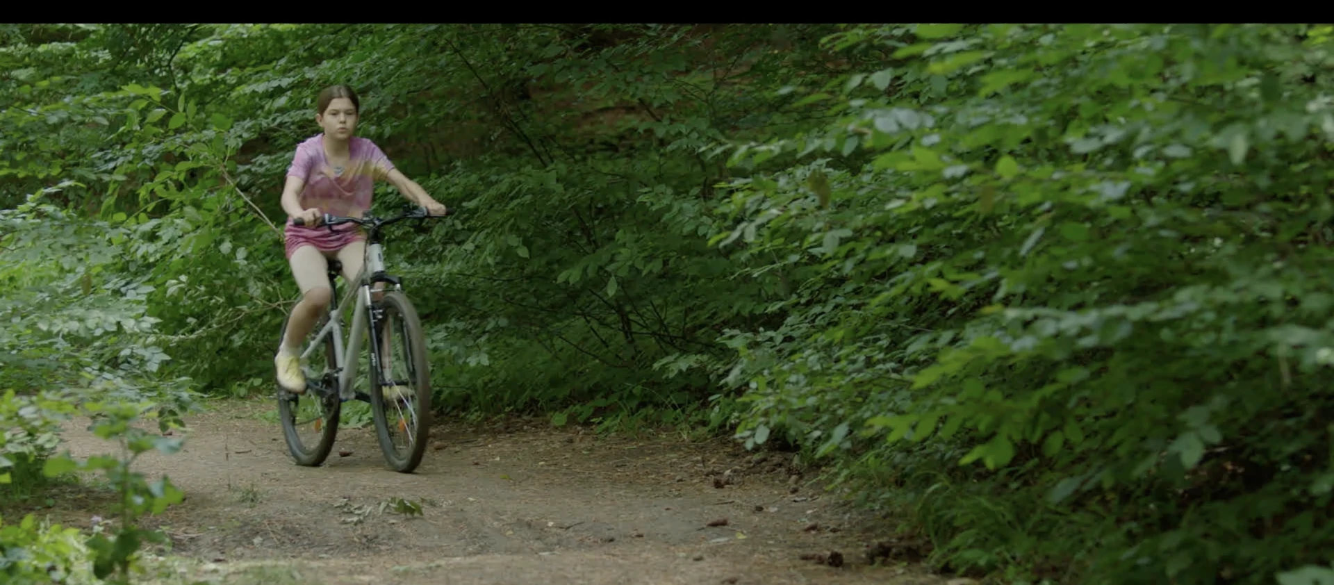 The Last Monster Still 2