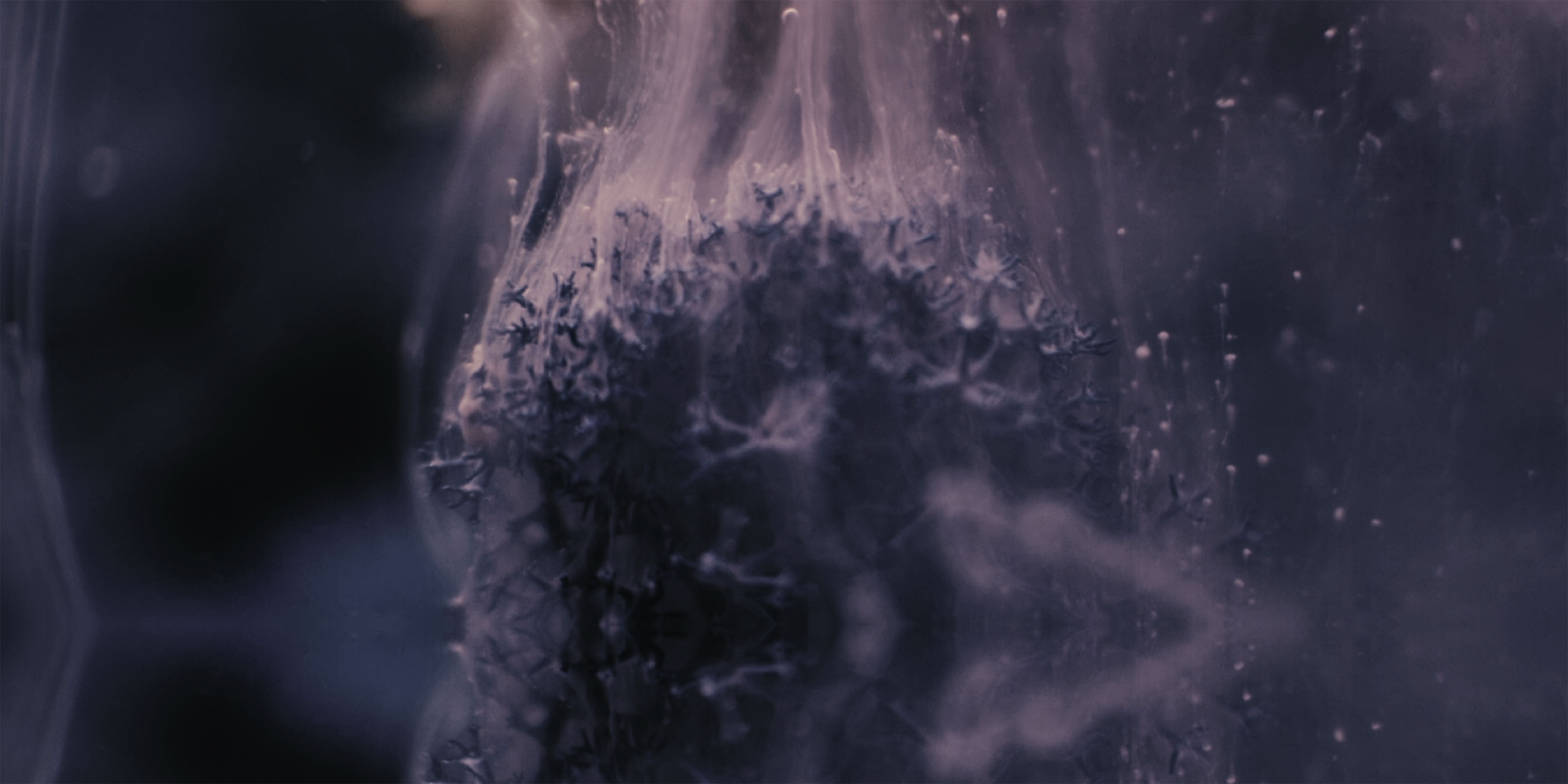 EXPERIMENTAL