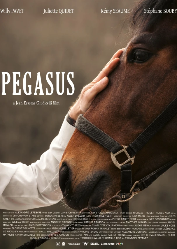 PEGASUS